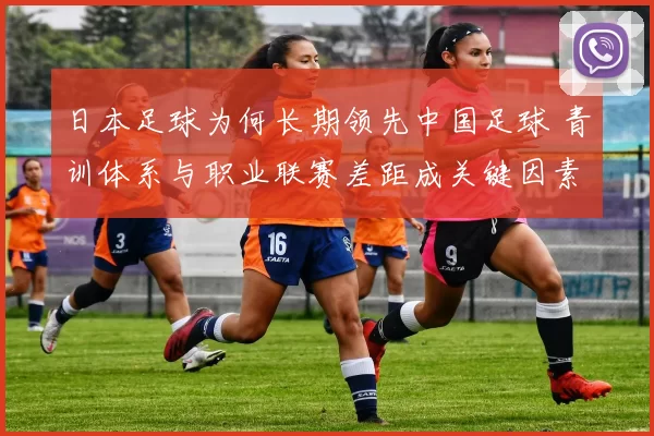 日本足球为何长期领先中国足球 青训体系与职业联赛差距成关键因素