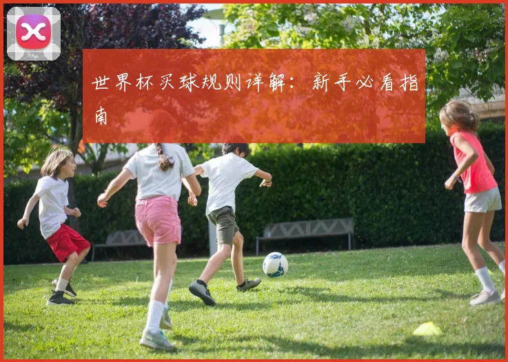 世界杯买球规则详解：新手必看指南