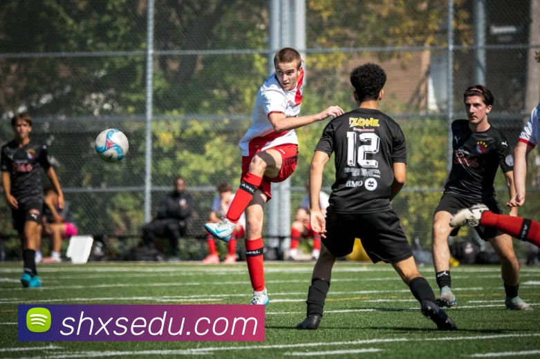 k体育app下载(中国)有限公司 - 官网平台生态图